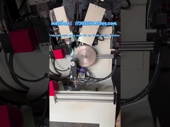 LDX-020 (A) Tam otomatik salınım açısı TCT testere bıçağı öğütme makinesi