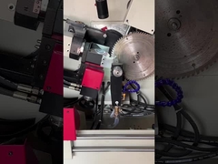 LDX-020A Dairesel testere bıçağı öğütme makinesi